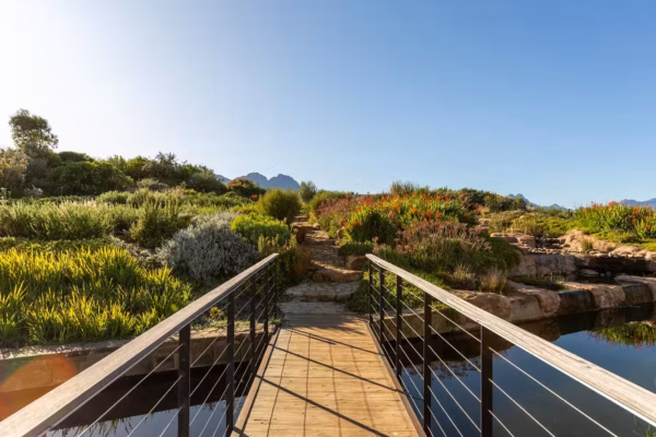 Nooitgedacht Village, Stellenbosch